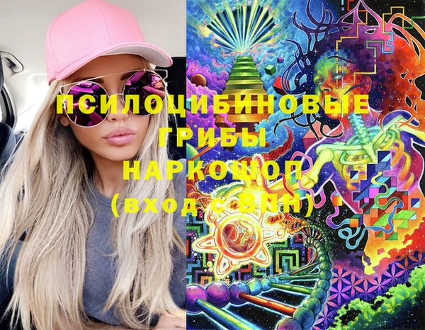 PSILOCYBIN Аркадак