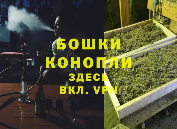 PSILOCYBIN Аркадак