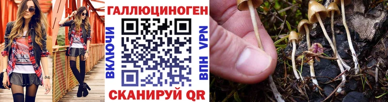 Псилоцибиновые грибы прущие грибы  дарнет шоп  Отрадная 